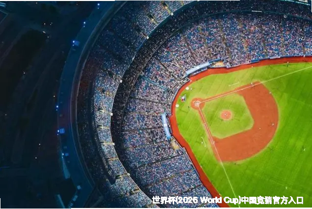核心团队：跨界精英集结